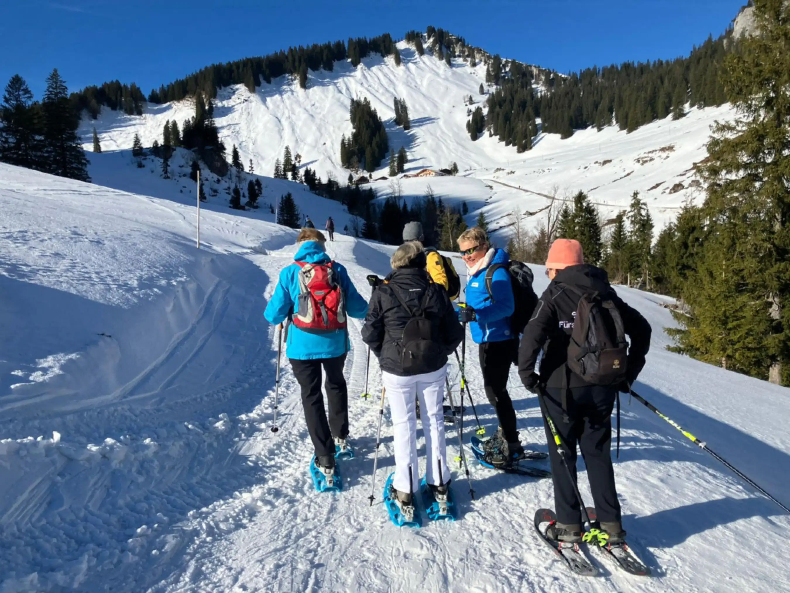 Schneeschuhwanderung Saison 2024 